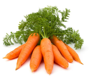 Punarjani Carrot
