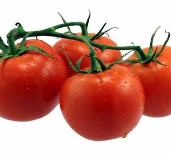 Punarjani Tomato