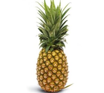 Punarjani Pineapple