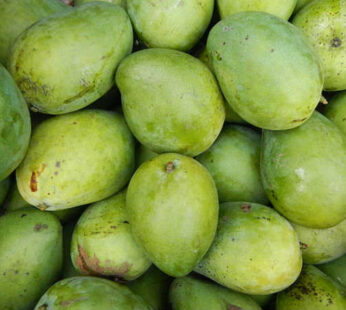 Punarjani Green Mango