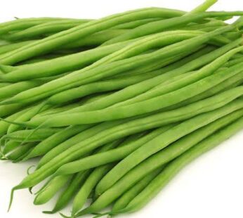 Punarjani Green Beans(haricot)