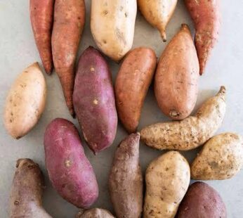 Punarjani sweet potato