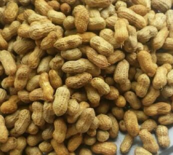 Punarjani Ground Nuts