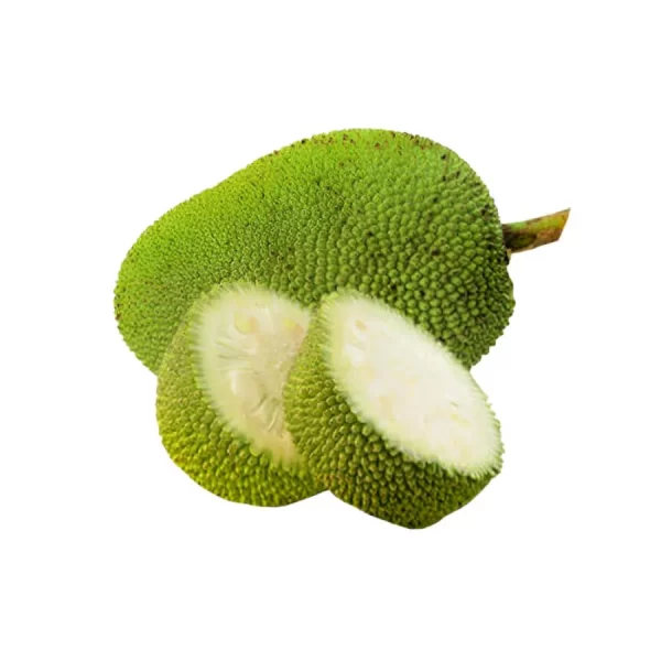 Punarjani Organic Tenderjack