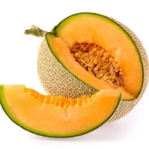 punarjani organic musk melon