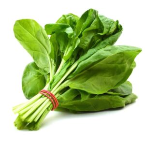punarjani organic spinach