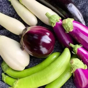 punanrjani organic brinjal