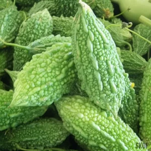 punarjani organic bitter gourd