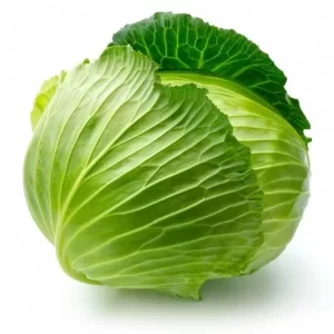 punarjani organic cabbage
