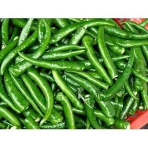 punarjani organic chilli green