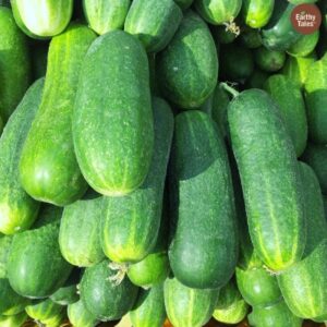 punarjani organic cucumber