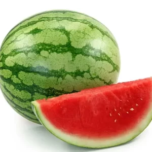 punarjani organic water melon
